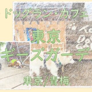 虹の橋ドッグラン　キャンバスF20号　額縁は含みません 虹の橋ドッグラン キャンバスF20号 額縁は含みません 虹の橋