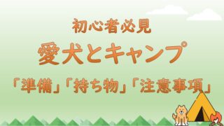 初めて愛犬とキャンプをする方へ//持ち物//注意すること