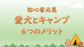 愛犬とキャンプをすることの6つのメリット