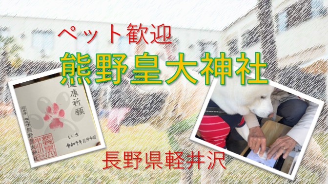 肉球スタンプで健康祈願//柴犬と行く「熊野皇大神社」&旧軽井沢銀座（2022秋）